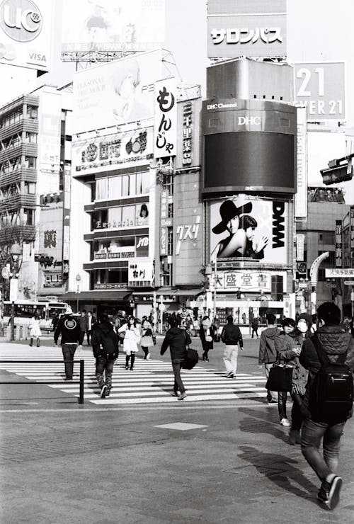 Základová fotografie zdarma na téma budovy, černobílý, chodci