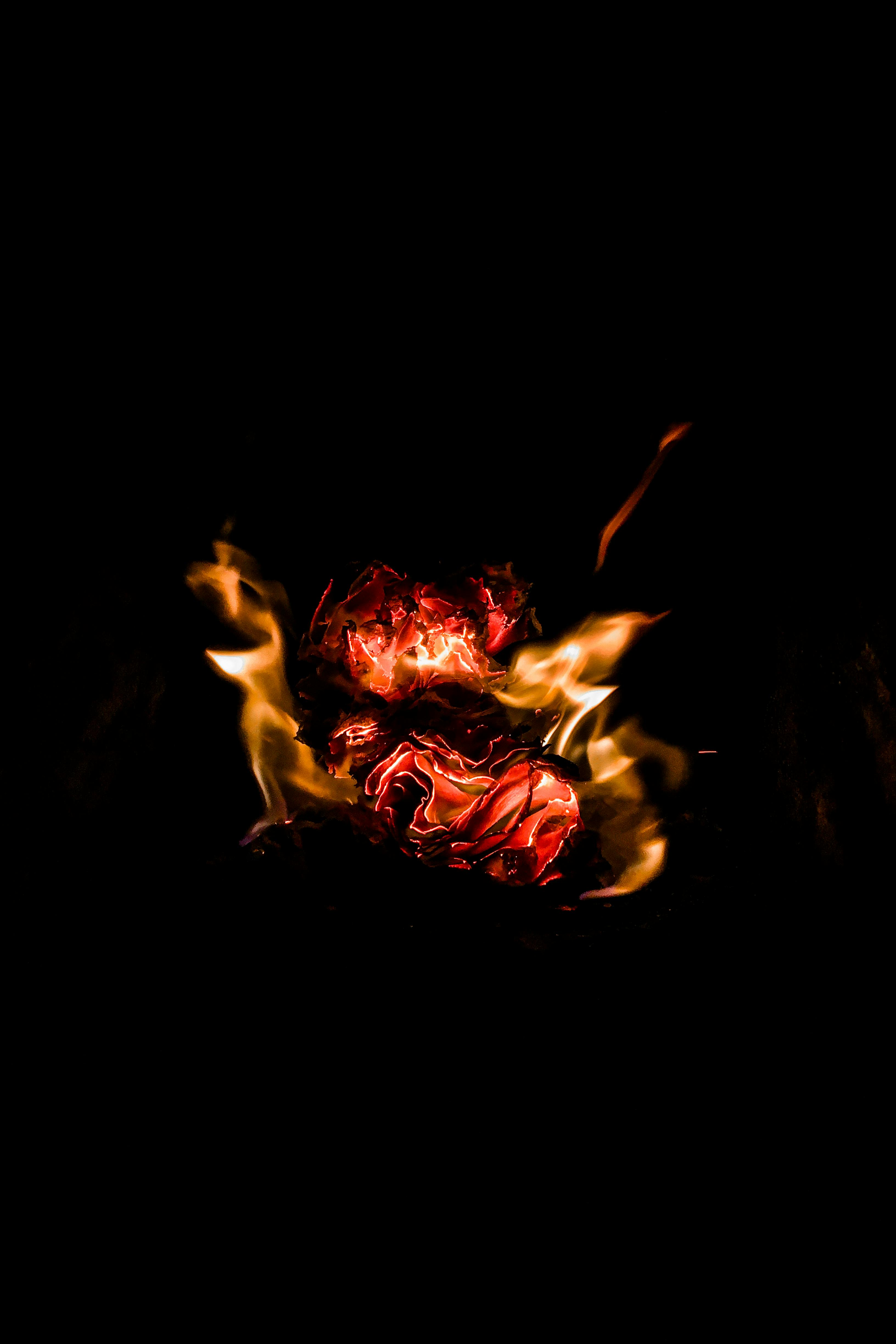 fire and charcoal with black background