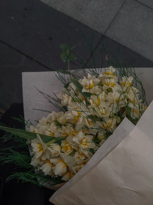 Immagine gratuita di bouquet, carta, crescita