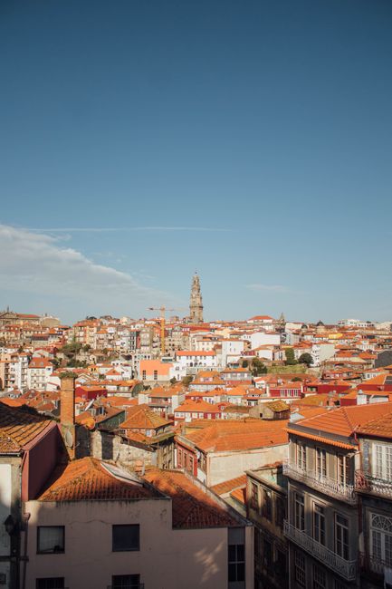 Panoramic view of Porto's vibrant rooftops and iconic Clerigos Tower under a clear sky.