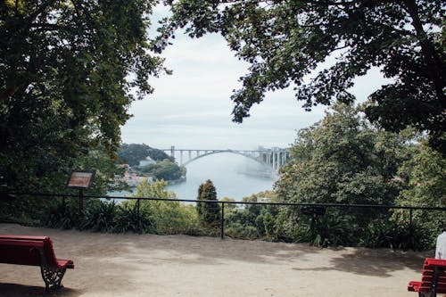 Imagine de stoc gratuită din arbori, călătorie, coastă