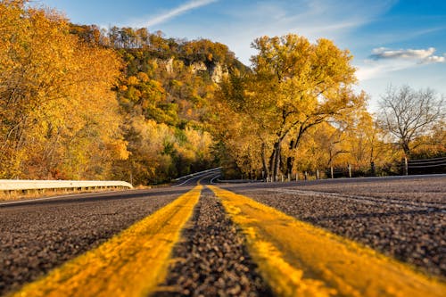 Yellow Lines on Road in Forest in Autumn