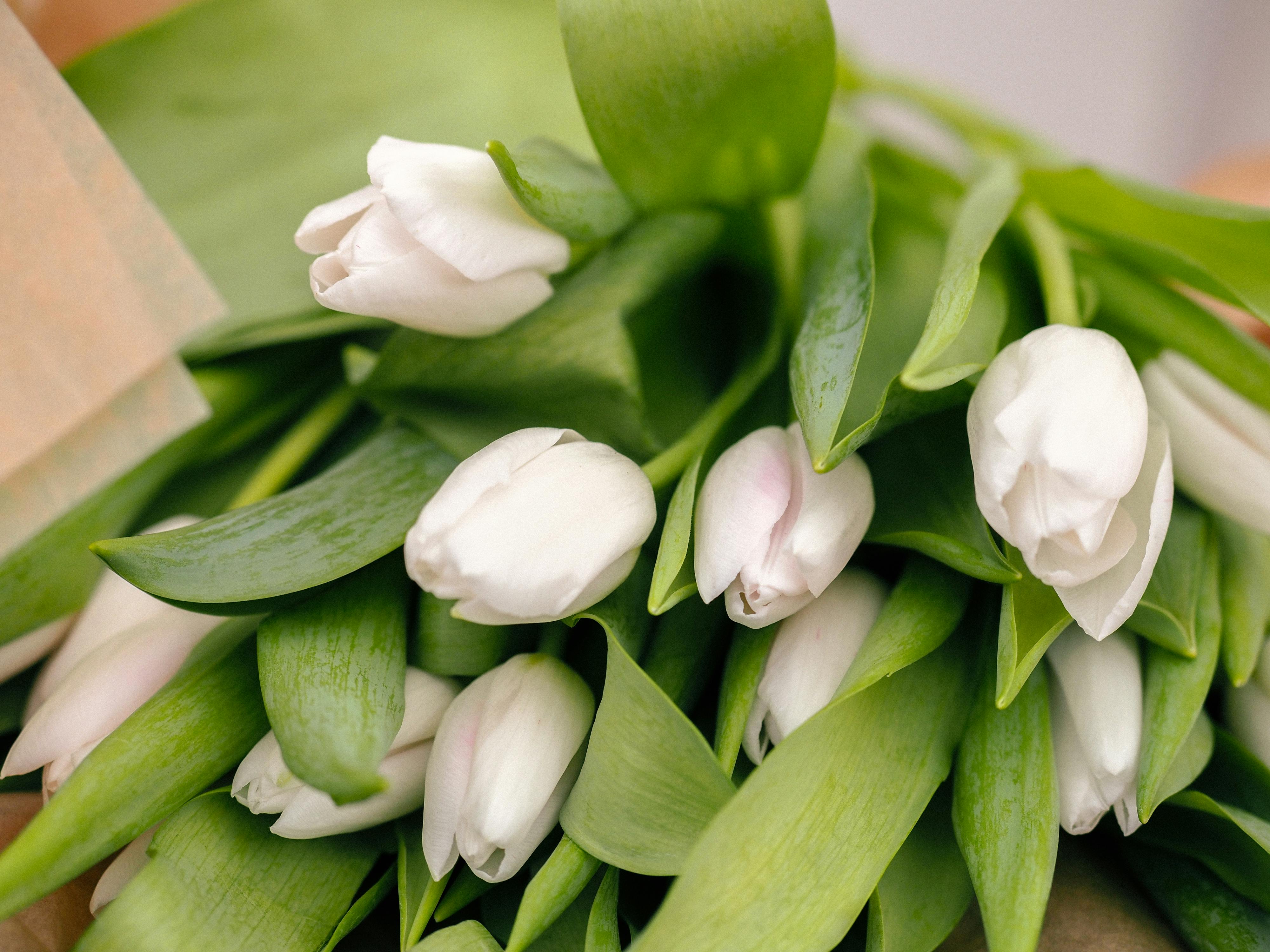 ## Bundle Up In Style