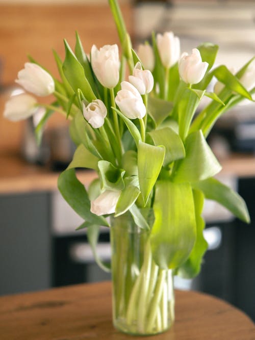 Bouquet of White Tulips 