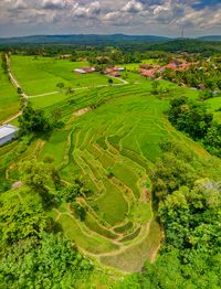 Indonesian vanilla farming landscape aerial view