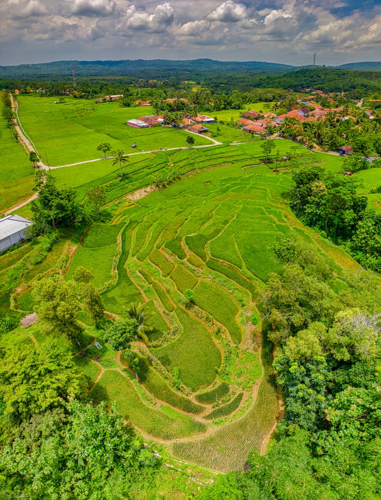 Aerial View Of Landscape