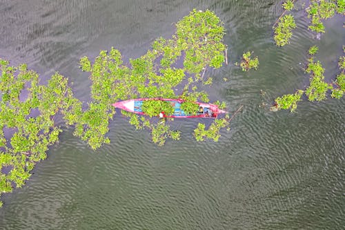 Luftaufnahme Des Kanus Im Wasser
