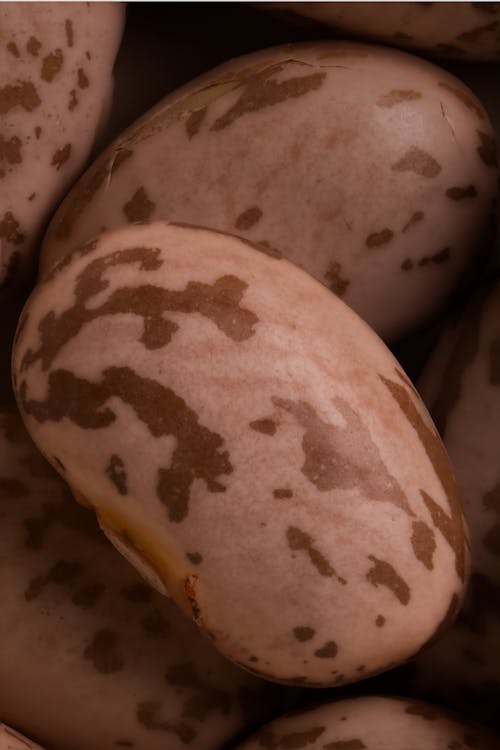 咖啡豆, 宏觀, 微距攝影 的 免费素材图片