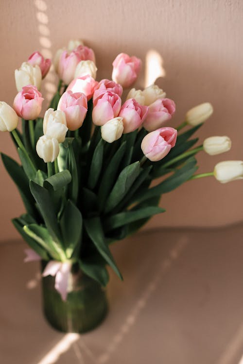 A vase with pink and white tulips in it
