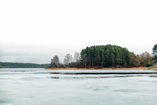 Gratis stockfoto met bevroren meer, bomen, dageraad