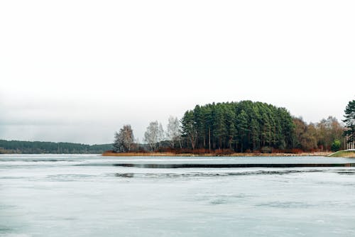 Fotobanka s bezplatnými fotkami na tému chladný, krajina, mráz