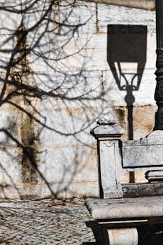 Elegant shadow patterns cast on a historic stone wall in Lisbon, Portugal.