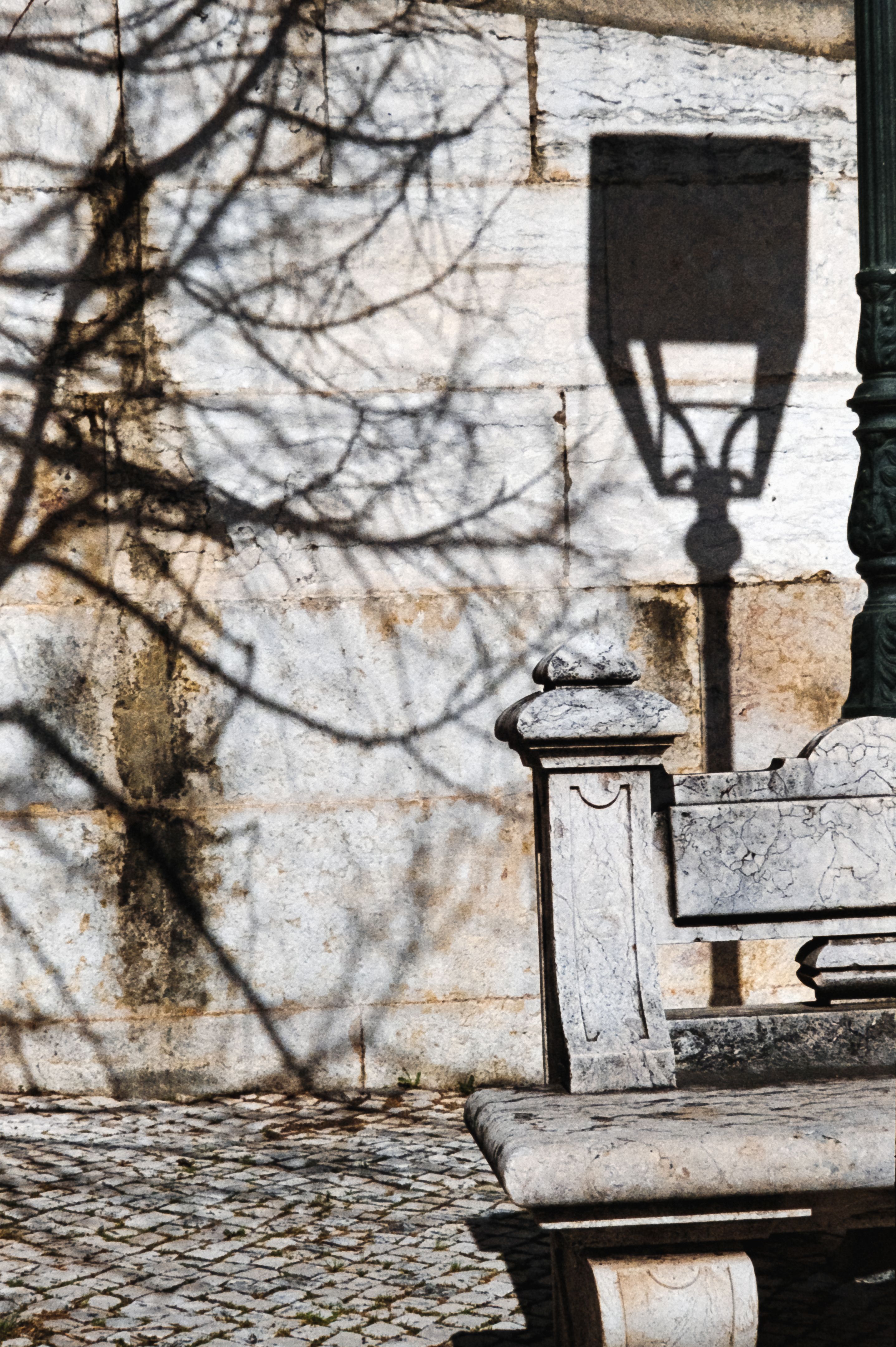 A Tree Casting Shadow on a Stone Wall of an Old Building · Free Stock Photo