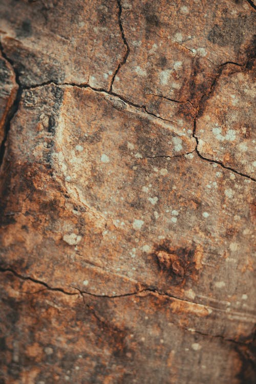 A close up of a cracked rock