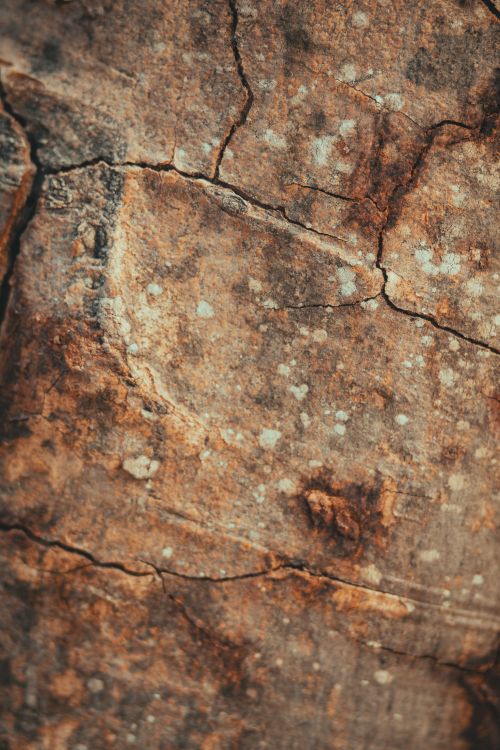 Free Detailed shot of a rugged, cracked earth texture showcasing natural patterns and rough surface. Stock Photo