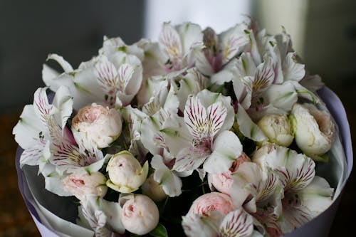 Close-up of a Bouquet of Peruvian Lilies 