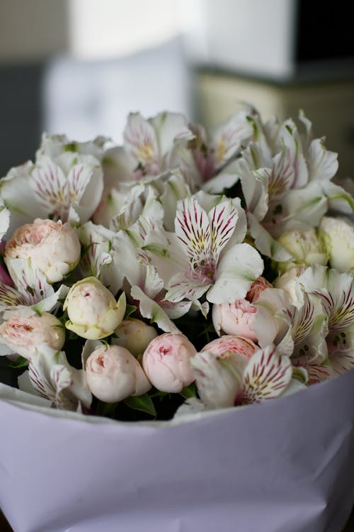 Close-up of a Bouquet of Peruvian Lilies