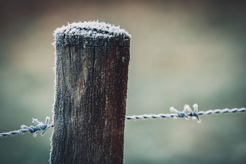 Free Close-up of a frosty wooden post with barbed wire, showcasing winter's chill. Stock Photo