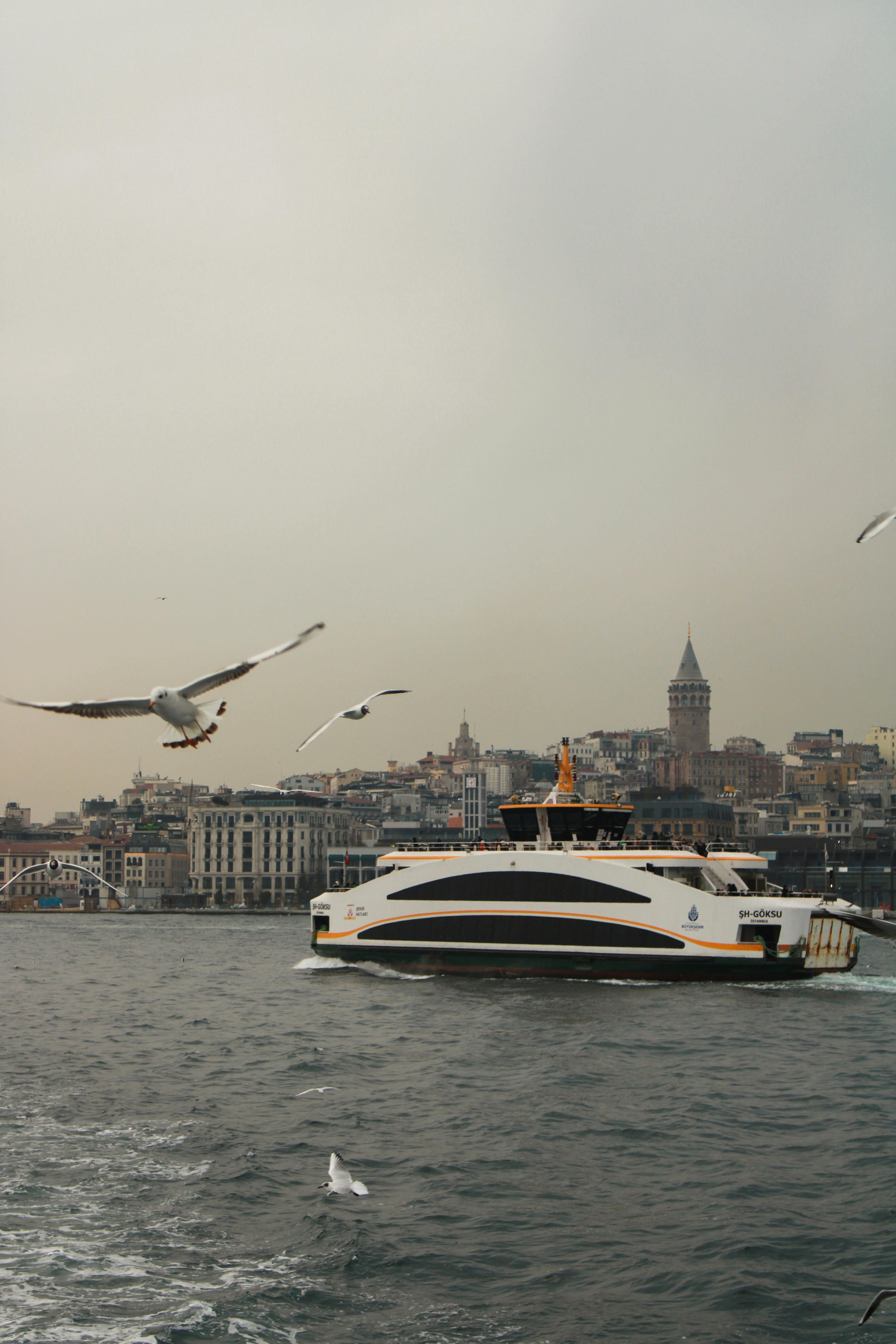 Gratuit Photos gratuites de architecture, architecture européenne, bateau Photos