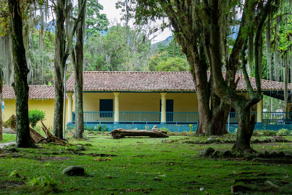 Imagen profesional de 'comprar primera casa, consejos primerizos, errores hipotecarios cómo comprar primera casa errores estrategias consejos prácticos strong ejecuciones propiedad hipotecaria hipotecarias puede según pago suelen mercado comprar casa primera financiero ser información acceder precios' por Arturo A
