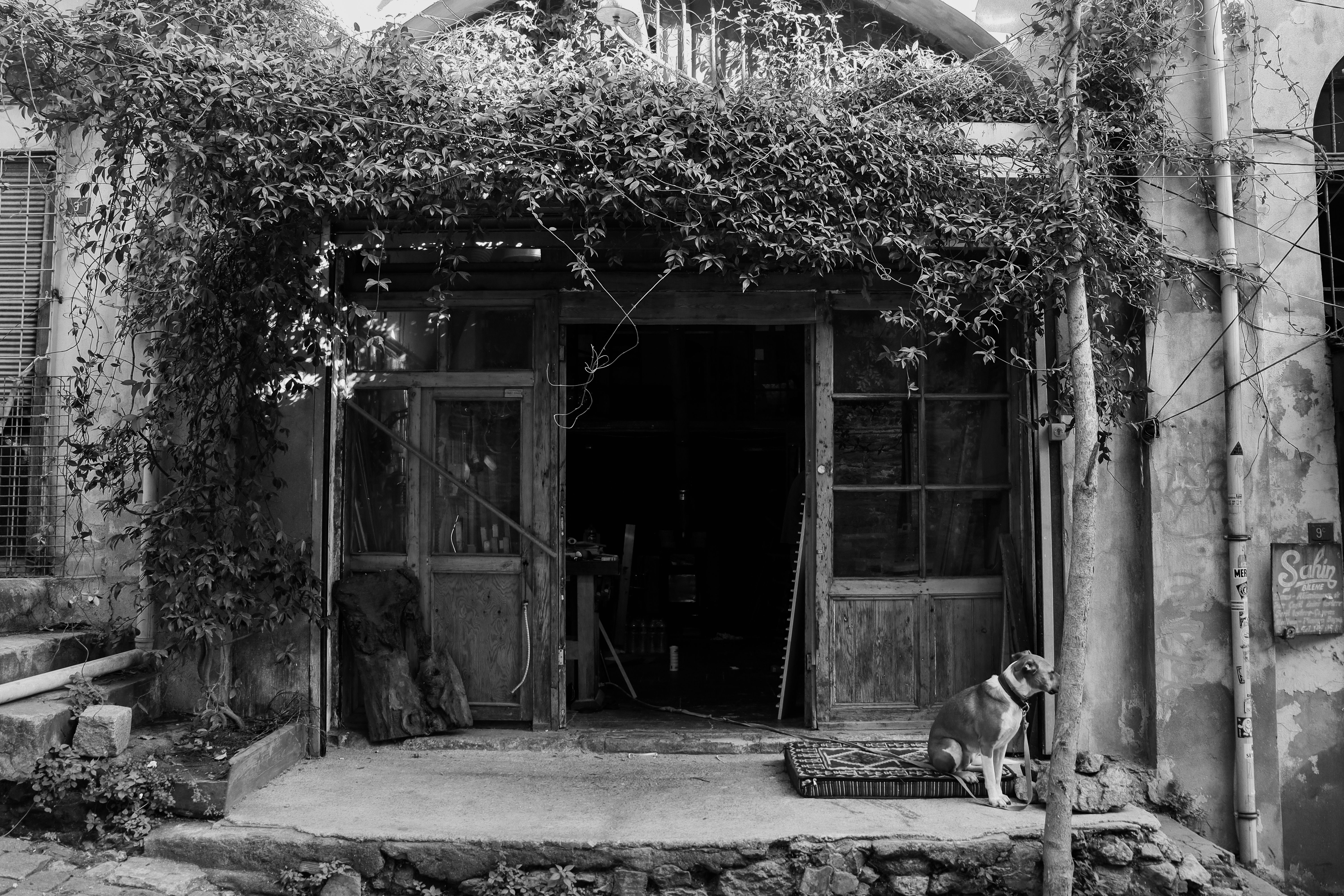 A collie waiting at a stone inn doorway in a Yorkshire Dales village