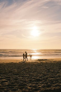 Silhouettes of people walking with a dog on Costa da Caparica beach at sunset. Idyllic and scenic vibe.