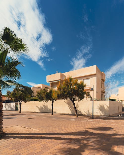 A house with palm trees and a brick walkway
