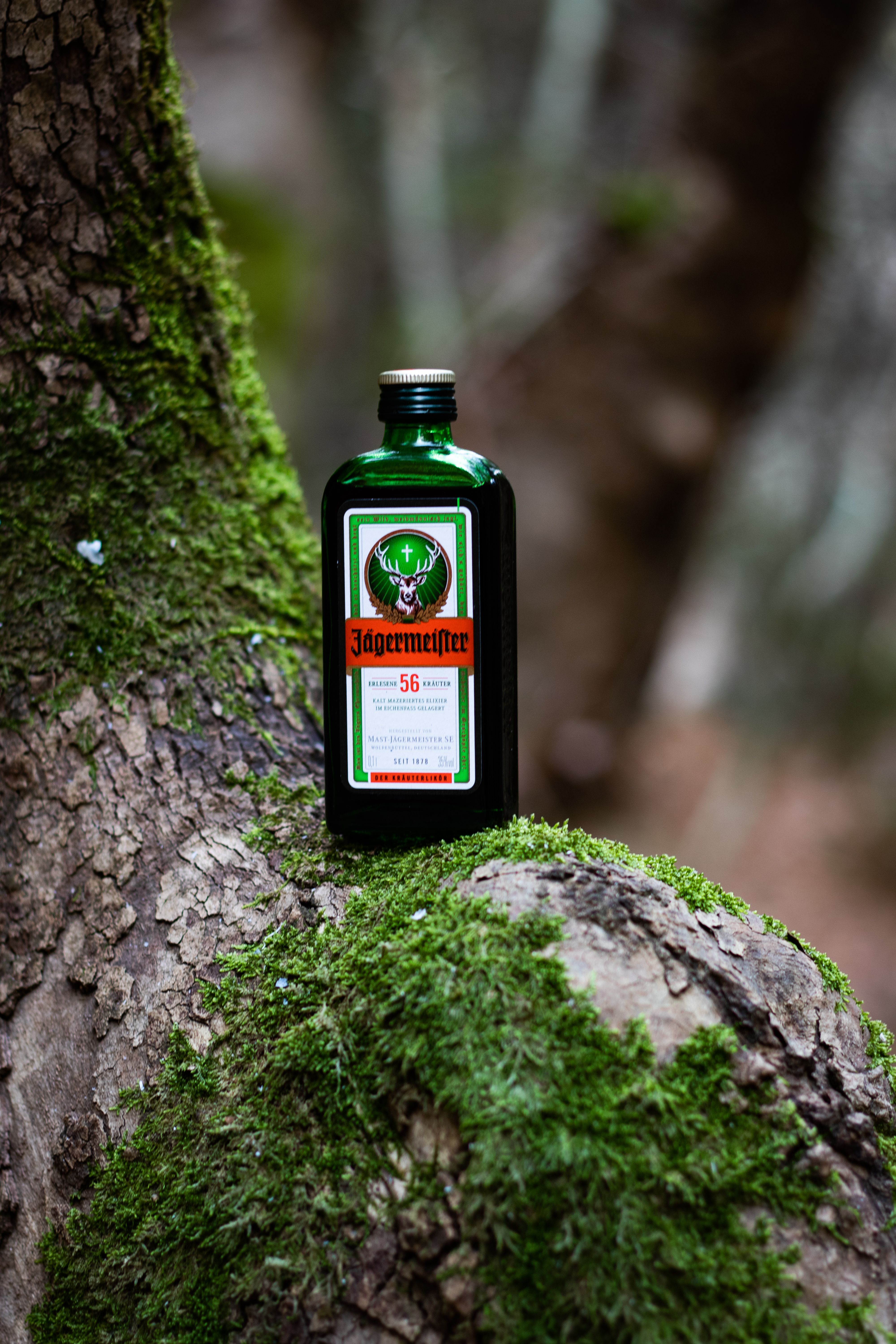 Jägermeister bottle placed on a mossy tree trunk in a forest setting.