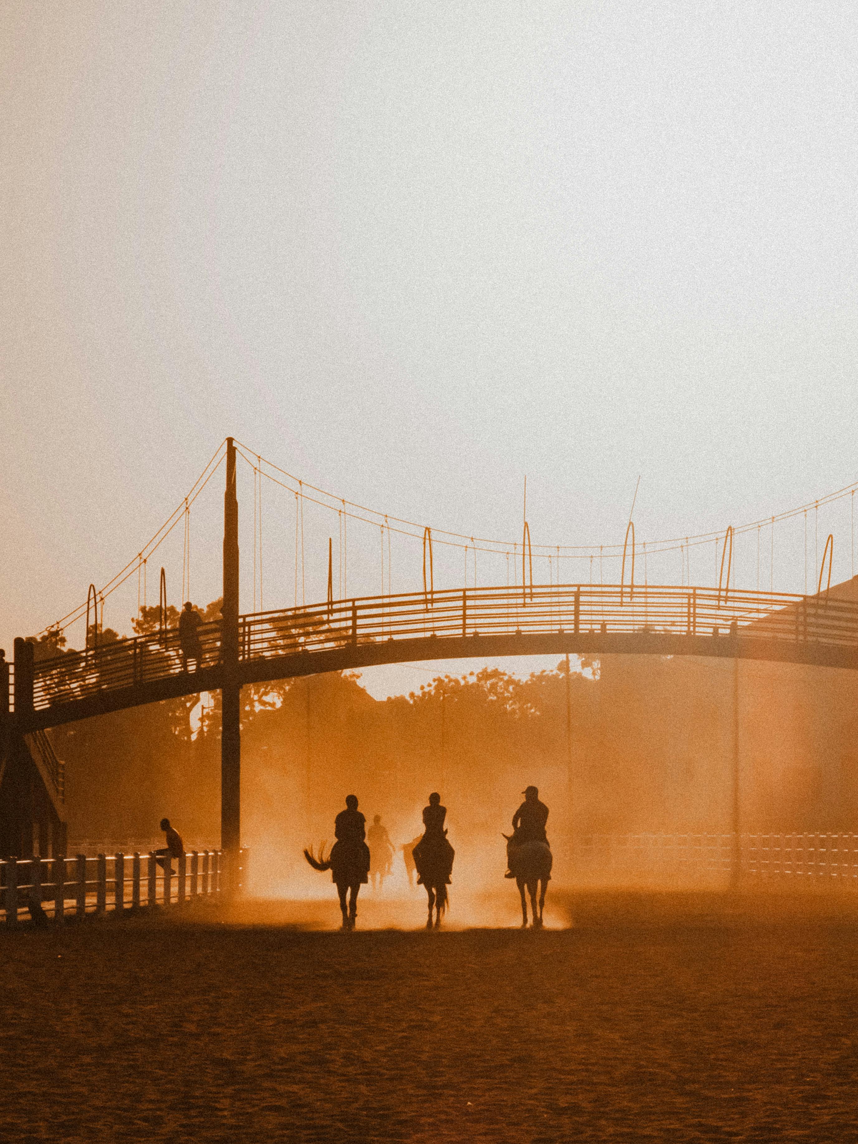 Horse riders silhouetted against a vibrant sunset under a suspension bridge.