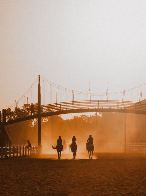 Three people riding horses on a bridge at sunset