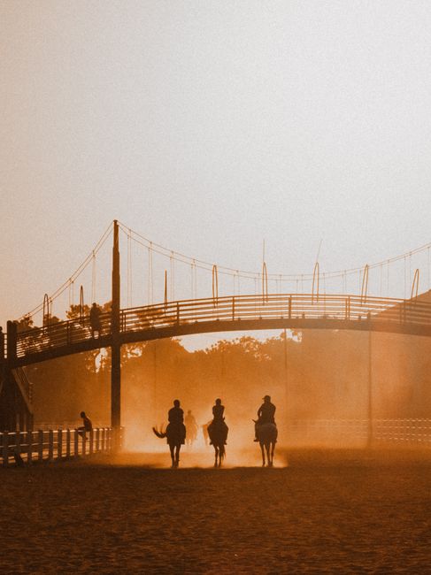 Horse riders silhouetted against a vibrant sunset under a suspension bridge.