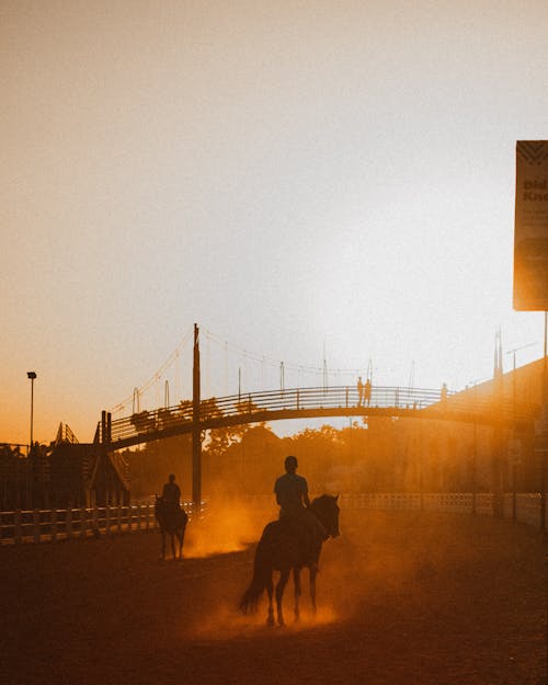 atlar, dikey atış, gün batımı içeren Ücretsiz stok fotoğraf