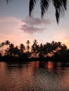 棕榈树的轮廓映衬着日落时鲜艳的天空，倒映在宁静的水面上