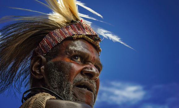 Goroka or Mt Hagen cultural show (Sept) — Papua New Guinea