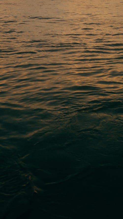 ハイアングル, 垂直ショット, 日没の無料の写真素材