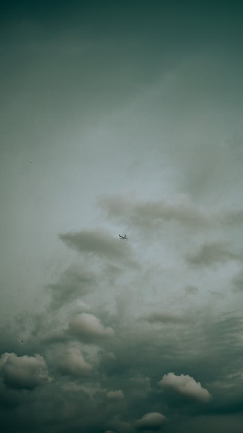 plane in cloud