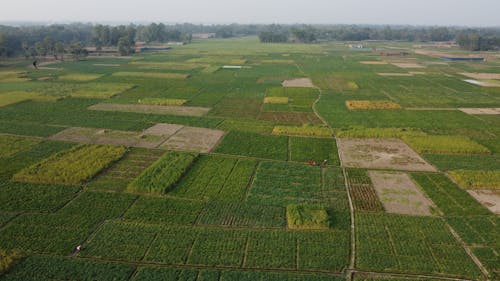 bagmara, bangladeş, drone içeren Ücretsiz stok fotoğraf