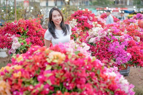 Δωρεάν στοκ φωτογραφιών με hoa ngu sac, άνθη της άνοιξης, ανοιξιάτικο λουλούδι