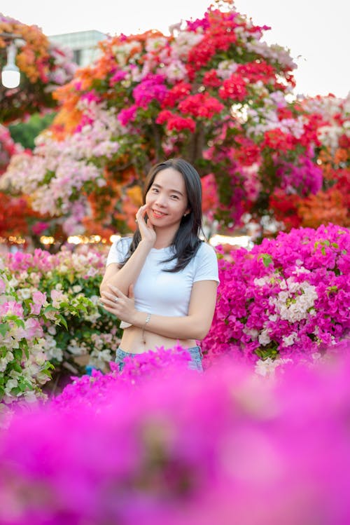 Kostnadsfri bild av blommor, färgrik, kvinna