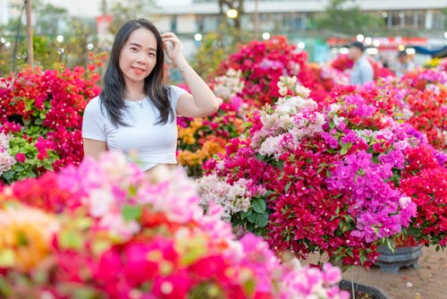 五彩紙屑, 和牛囊, 春天的花朵 的 免费素材图片