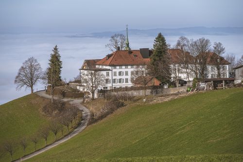 Free A scenic view of a historic building on a hilltop, surrounded by trees and lush greenery. Stock Photo