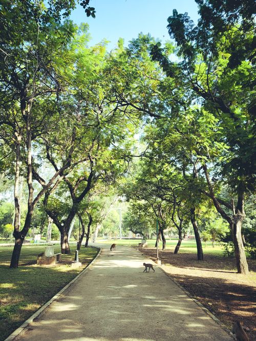 Free Nature in city Stock Photo