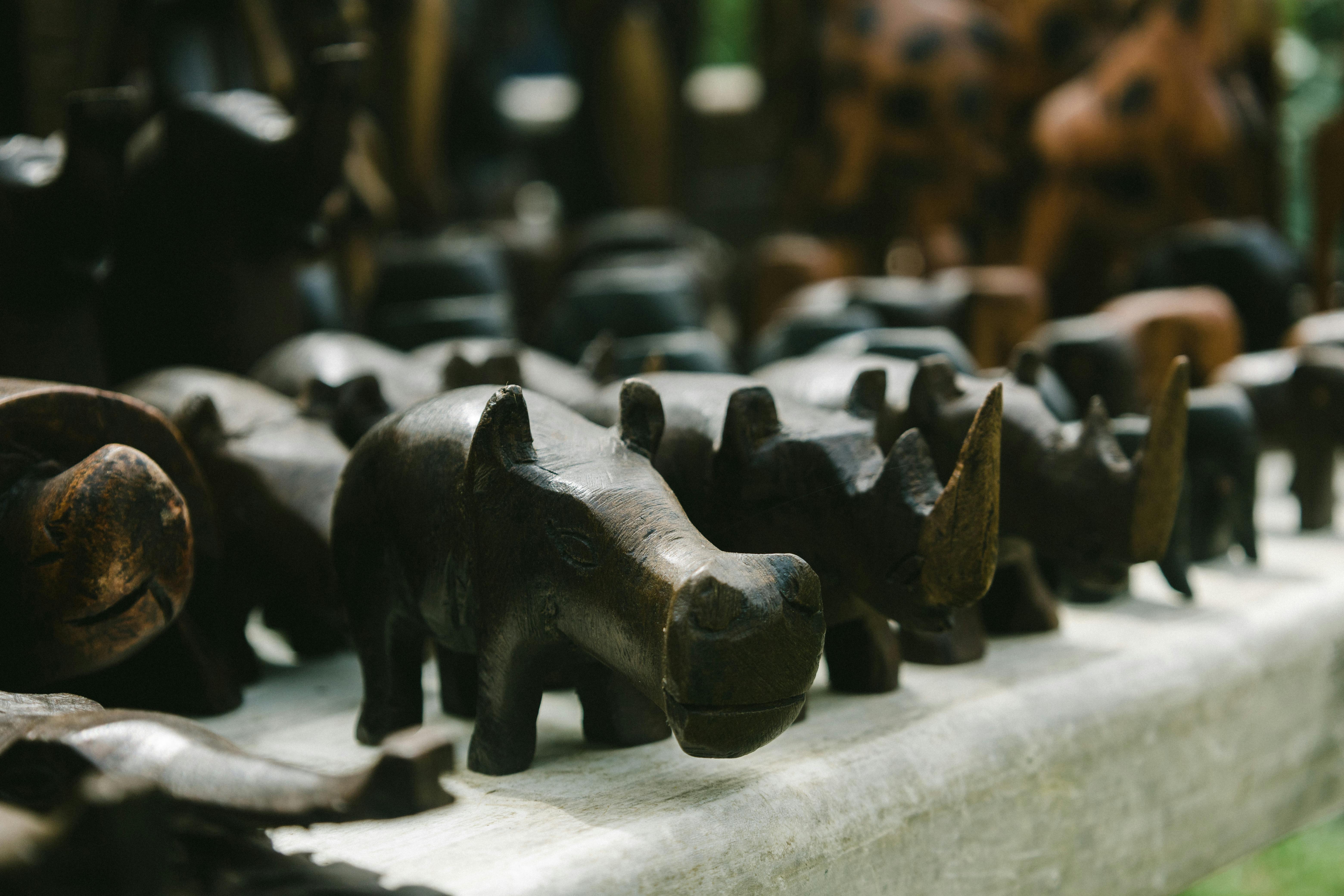 grátis Foto profissional grátis de abuja, África, animais selvagens Foto profissional