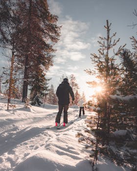 Skier enjoying a sunny winter day in a snowy forest