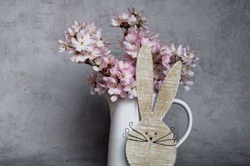 Základová fotografie zdarma na téma králíček, květiny, rostlina