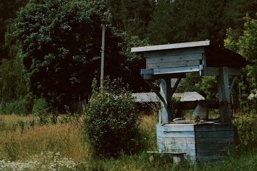 ağaçlar, çalı, çim içeren Ücretsiz stok fotoğraf