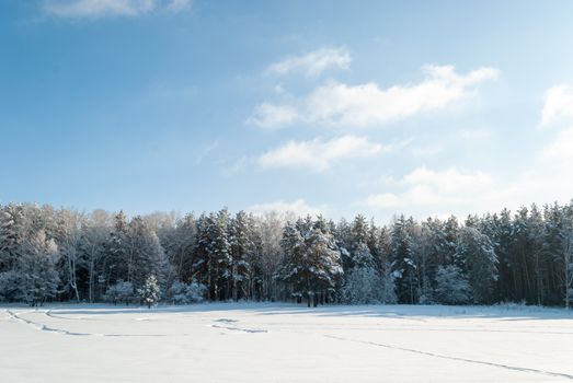 A tranquil winter scene of a snow-covered forest under a clear blue sky.