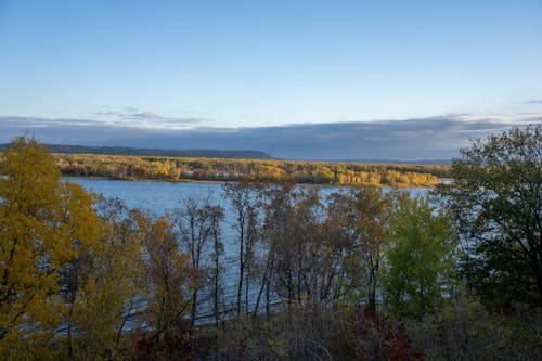 A view of the water and trees in fall