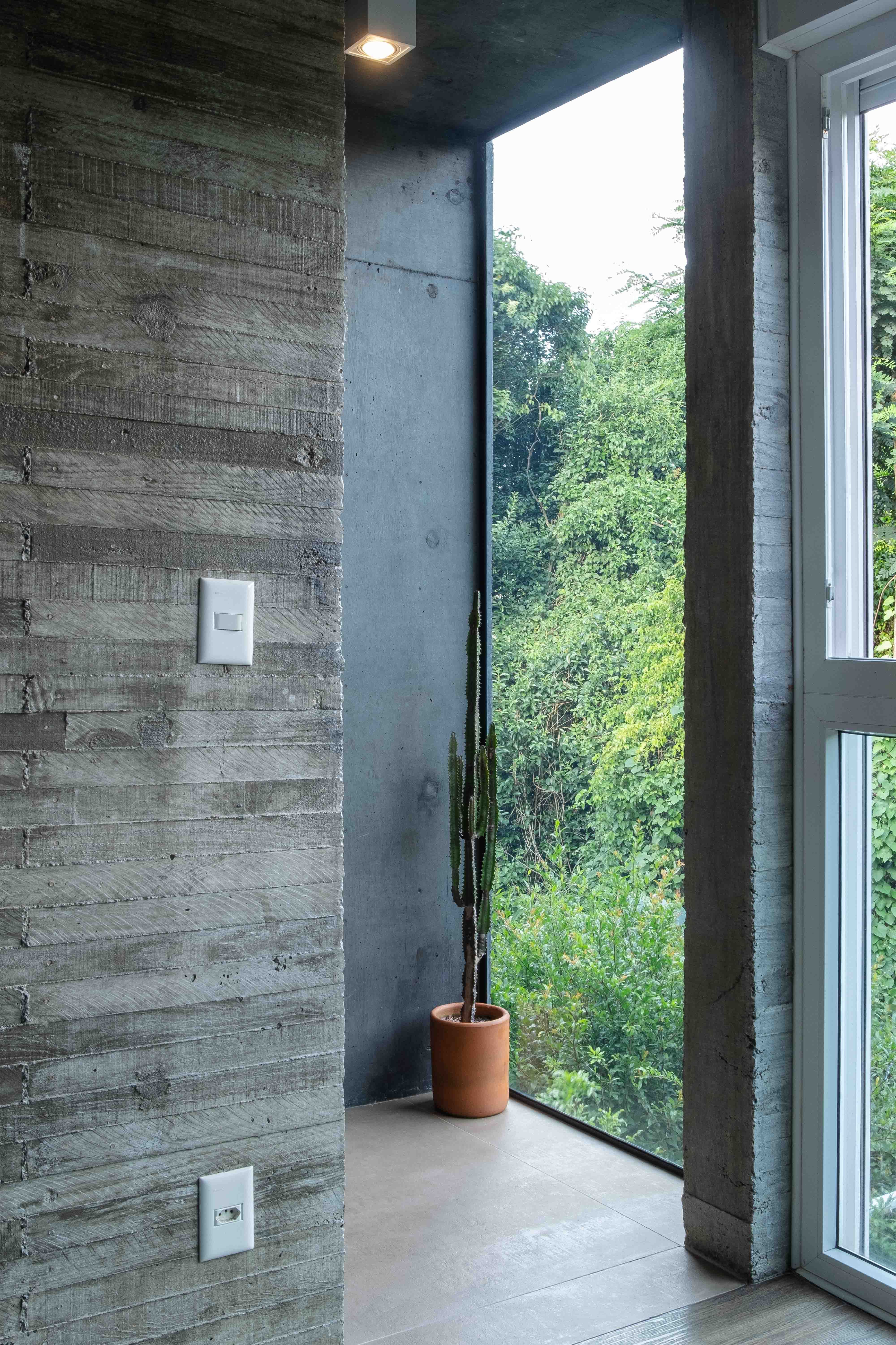 A minimalist interior featuring a cactus by a large window overlooking greenery.