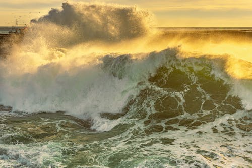 Ingyenes stockfotó hullám, naplemente, óceán témában
